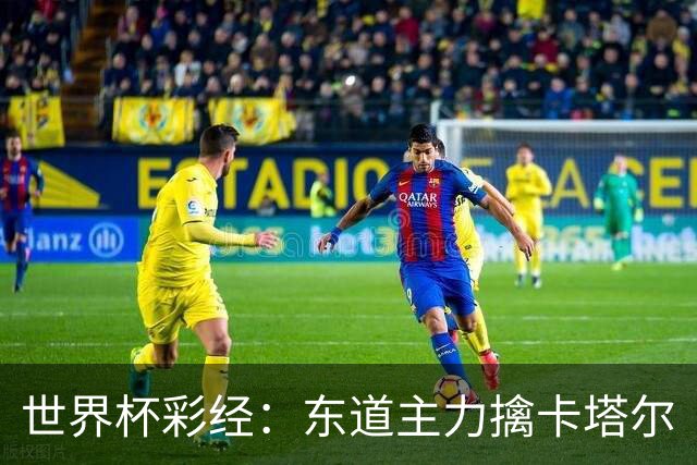 世界杯彩经：东道主力擒卡塔尔